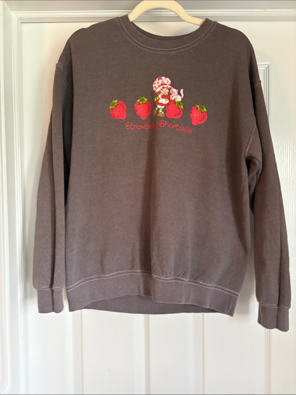 Urban OutfirtersStrawberry Shortcake Sweatshirt Size XS/S